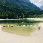 Story Kranjska Gora