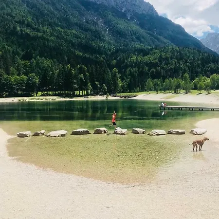 Story Краньска Гора