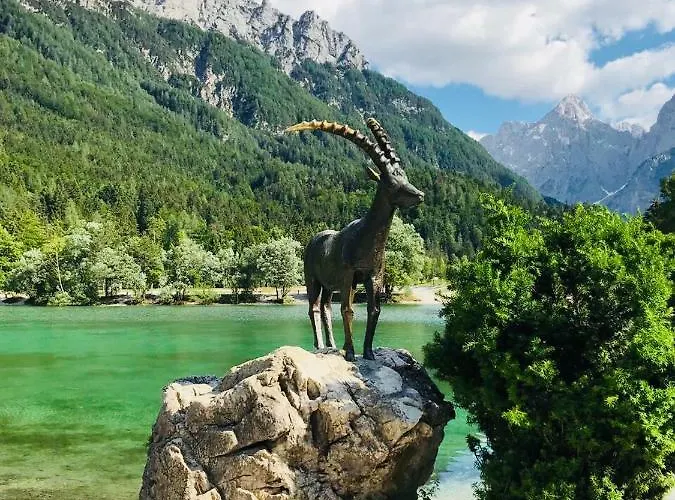 Story شقة كْرانْيِسكا غورا